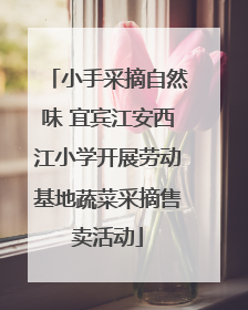 小手采摘自然味 宜宾江安西江小学开展劳动基地蔬菜采摘售卖活动
