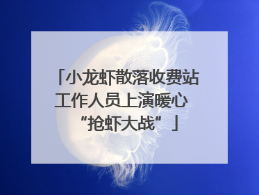小龙虾散落收费站 工作人员上演暖心“抢虾大战”