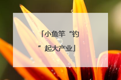 小鱼竿“钓”起大产业