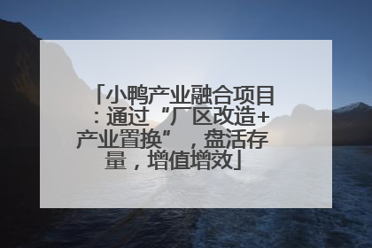 小鸭产业融合项目：通过“厂区改造+产业置换”，盘活存量，增值增效