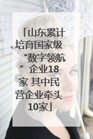 山东累计培育国家级“数字领航”企业18家 其中民营企业牵头10家