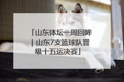 山东体坛一周回眸｜山东7支篮球队晋级十五运决赛