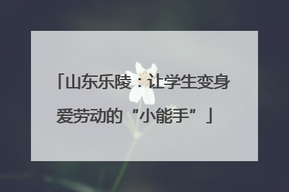 山东乐陵：让学生变身爱劳动的“小能手”