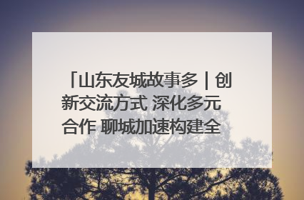 山东友城故事多｜创新交流方式 深化多元合作 聊城加速构建全球友城新格局