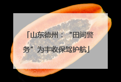 山东德州：“田间警务”为丰收保驾护航