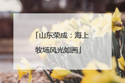 山东荣成：海上牧场风光如画