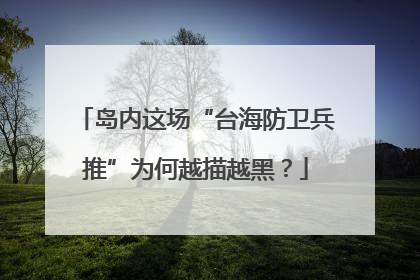 岛内这场“台海防卫兵推”为何越描越黑？