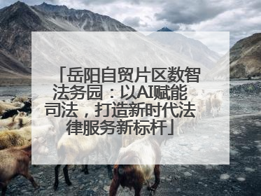 岳阳自贸片区数智法务园：以AI赋能司法，打造新时代法律服务新标杆