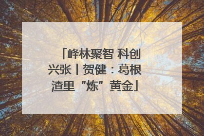 峰林聚智 科创兴张丨贺健：葛根渣里“炼”黄金