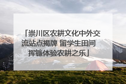 崇川区农耕文化中外交流站点揭牌 留学生田间挥镰体验农耕之乐
