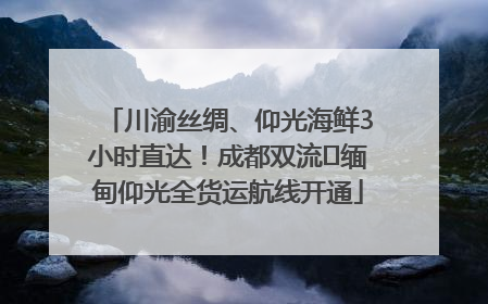 川渝丝绸、仰光海鲜3小时直达！成都双流⇌缅甸仰光全货运航线开通