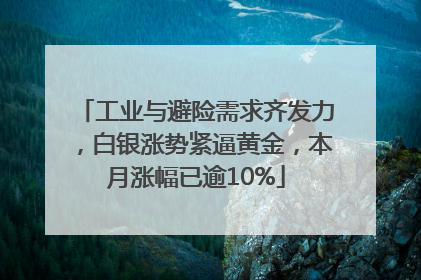 工业与避险需求齐发力，白银涨势紧逼黄金，本月涨幅已逾10%