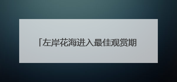 左岸花海进入最佳观赏期 邀市民共赏夏日繁花盛景