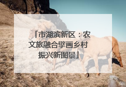 市湖滨新区：农文旅融合擘画乡村振兴新图景