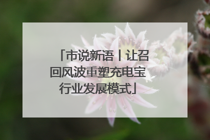 市说新语丨让召回风波重塑充电宝行业发展模式