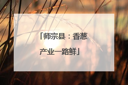 师宗县：香葱产业一路鲜