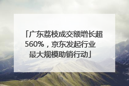 广东荔枝成交额增长超560%，京东发起行业最大规模助销行动