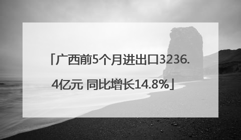 广西前5个月进出口3236.4亿元 同比增长14.8%