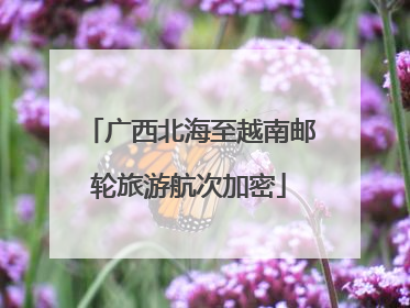 广西北海至越南邮轮旅游航次加密