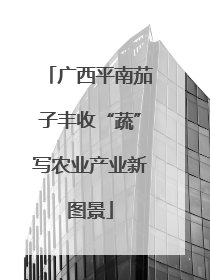 广西平南茄子丰收“蔬”写农业产业新图景