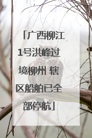 广西柳江1号洪峰过境柳州 辖区船舶已全部停航