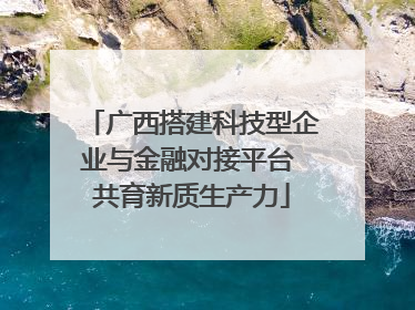 广西搭建科技型企业与金融对接平台 共育新质生产力