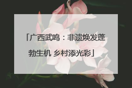 广西武鸣：非遗焕发蓬勃生机 乡村添光彩