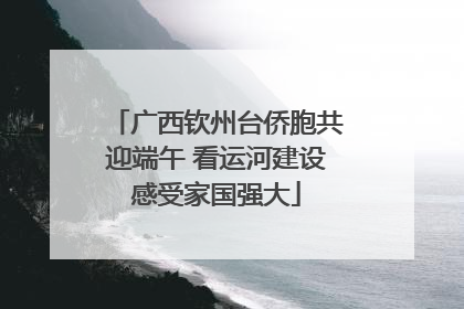 广西钦州台侨胞共迎端午 看运河建设感受家国强大