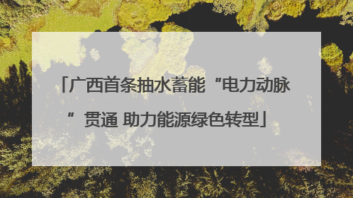 广西首条抽水蓄能“电力动脉”贯通 助力能源绿色转型