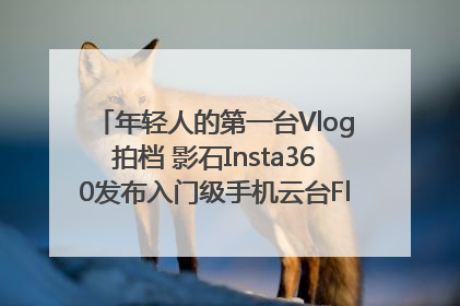 年轻人的第一台Vlog拍档 影石Insta360发布入门级手机云台Flow 2_深圳新闻网