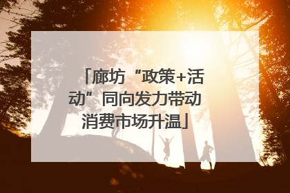 廊坊“政策+活动”同向发力带动消费市场升温