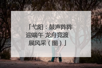 弋阳：鼓声阵阵迎端午 龙舟竞渡展风采（图）