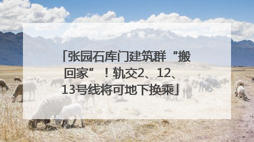 张园石库门建筑群“搬回家”！轨交2、12、13号线将可地下换乘