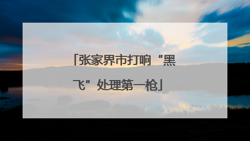 张家界市打响“黑飞”处理第一枪