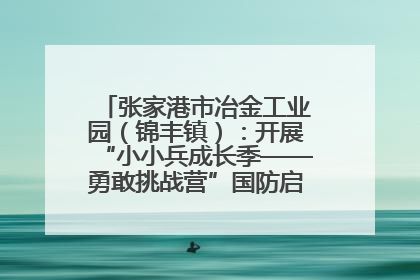 张家港市冶金工业园（锦丰镇）：开展“小小兵成长季——勇敢挑战营”国防启蒙教育活动