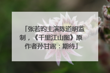 张若昀主演陈道明监制，《千里江山图》原作者孙甘露：期待