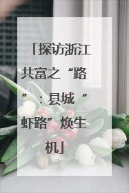 探访浙江共富之“路”：县城“虾路”焕生机