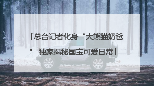 总台记者化身“大熊猫奶爸” 独家揭秘国宝可爱日常