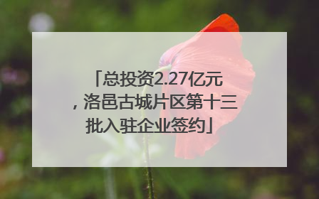 总投资2.27亿元，洛邑古城片区第十三批入驻企业签约