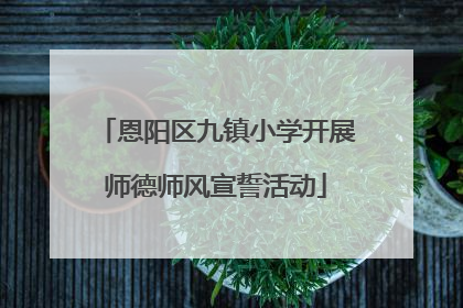 恩阳区九镇小学开展师德师风宣誓活动