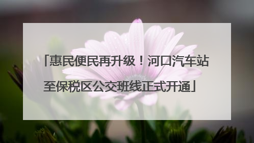 惠民便民再升级！河口汽车站至保税区公交班线正式开通