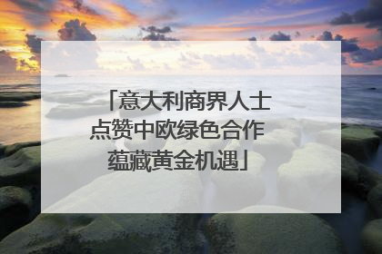 意大利商界人士点赞中欧绿色合作蕴藏黄金机遇