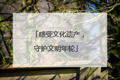 感受文化遗产，守护文明年轮
