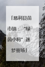 慈利县苗市镇：“绿茵小将”逐梦赛场