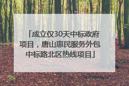 成立仅30天中标政府项目，唐山惠民服务外包中标路北区热线项目