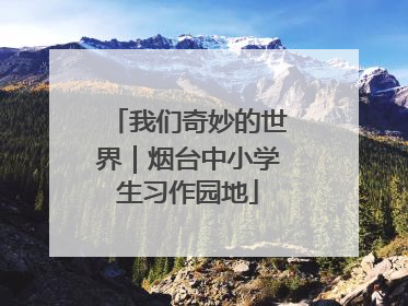 我们奇妙的世界｜烟台中小学生习作园地