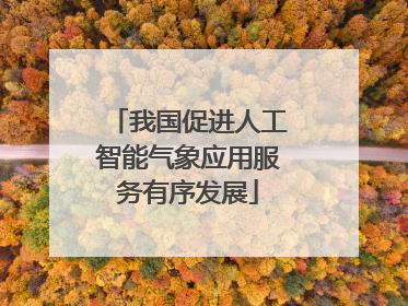 我国促进人工智能气象应用服务有序发展