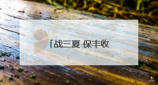 战三夏 保丰收丨新乡县：20万亩小麦种子田开启大规模收割