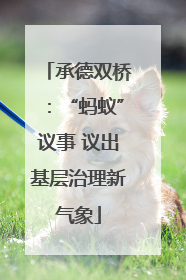 承德双桥：“蚂蚁”议事 议出基层治理新气象