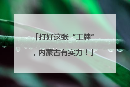 打好这张“王牌”，内蒙古有实力！